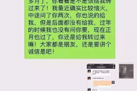 新泰为什么选择专业追讨公司来处理您的债务纠纷？